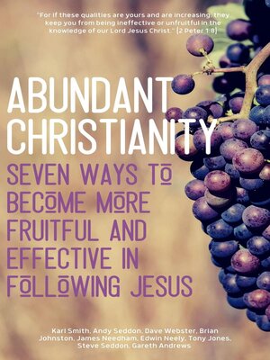 cover image of Abundant Christianity